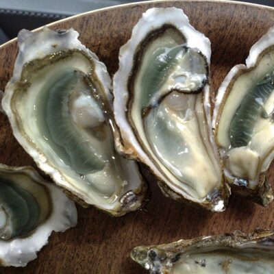 Podcast Nature et Bien-Être - Les huîtres aliment riche en zinc